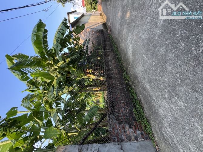 CHÍNH CHỦ GỬI CHUYỂN NHƯỢNG LÔ ĐẤT ĐẸP PHÚ CƯỜNG KIM ANH CHỈ 20tr/1m - 1