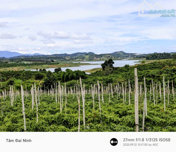 Cần bán 7.500m2 đất View Hồ Đại Ninh,xã Tà Hine,Lâm Đồng.chỉ 290 triệu/1.000m2 - 1