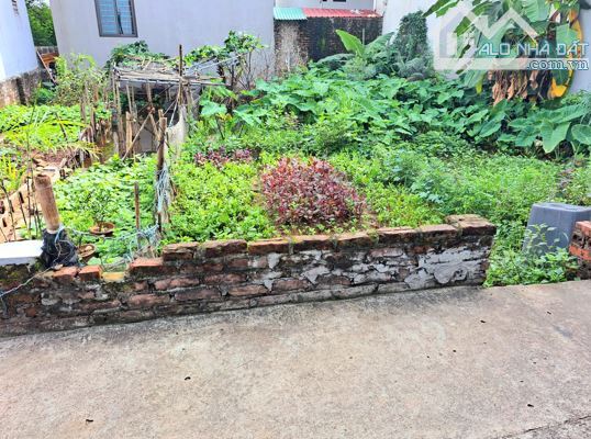 BÁN ĐẤT TỔ 5 QUANG MINH – MÊ LINH- Ô TÔ TRÁNH – GẦN KCN QUANG MINH, VÕ VĂN KIỆT – HƠN 2 TỶ - 1