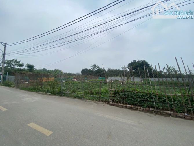 Bán đất X1 Hội Phụ Đông Anh phân lô -oto hàng xóm Vin Cổ Loa trục lên cầu Tứ liên 60m 10ty - 1
