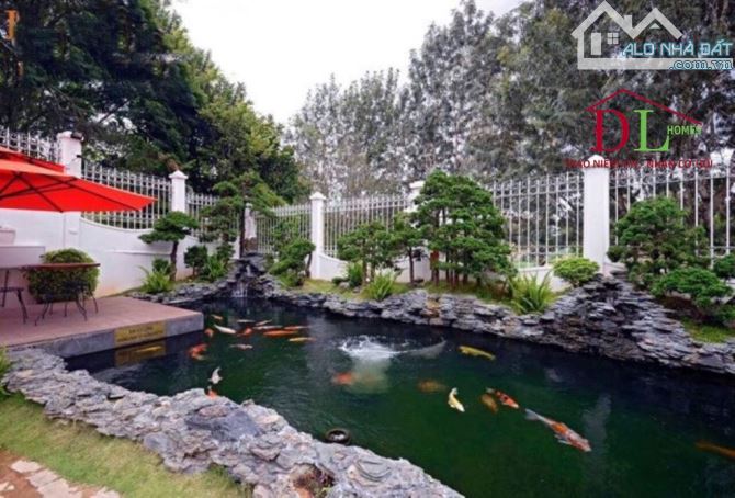 Bán biệt thự Đà Lạt, đường Đinh Tiên Hoàng view Đồi Cù,khuôn viên 1400m2, giá 230 tỷ #1471 - 14