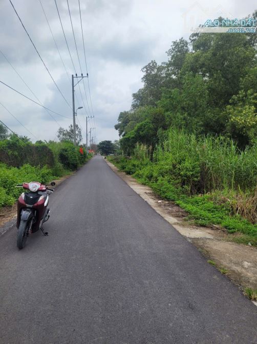 Bán lô đất mặt tiền Trần Quang Quờn, Bình Khánh, Cần Giờ - 2