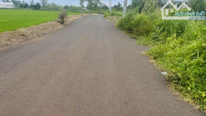 Bán Đất Long Tân lay Sát Nhập Vào Xã Đất Đỏ-Thành Phố Hồ Chí Minh Dt :1022mv Ngang 58 Mét - 2