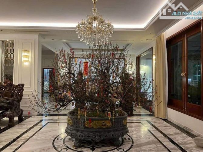 Biệt Thự Vũ Thành Năm - Hòa Xuân. Đà Nẵng - 2