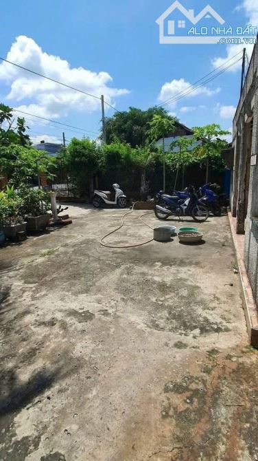 Ông Bà bán căn nhà cổ để chia gia tài, SHR, 299,3m2, Phước Thạnh, Giá 850 Triệu. - 2