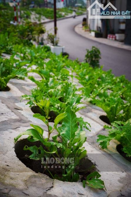 BÁN NHÀ SIÊU RỘNG SIÊU RẺ 5 TẦNG THOÁNG TỨ PHÍA 48M GẦN TIMES CITY - 2