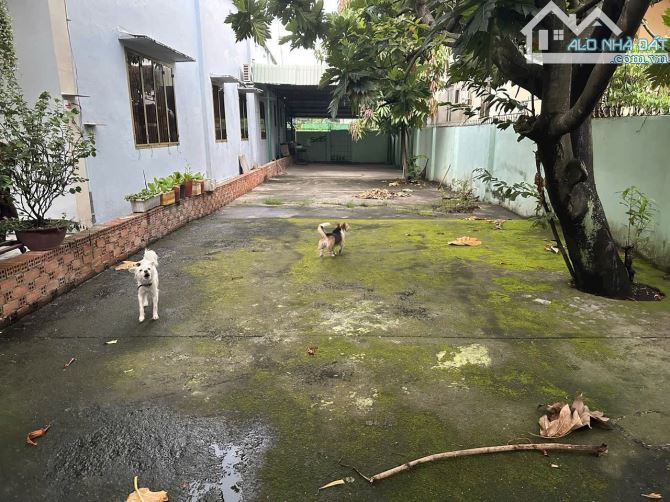 ❌❌ BÁN ĐẤT 2 MẶT TIỀN – ĐƯỜNG BÙI VĂN HÒA, BIÊN HÒA - Diện tích: 8m x 65m tổng 500m² - 2