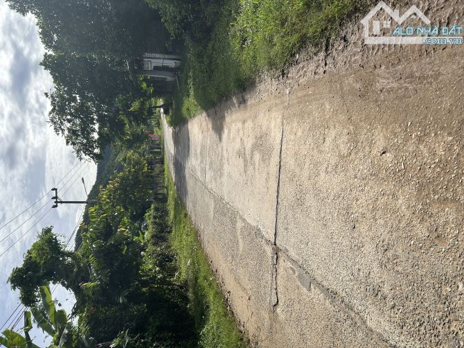chào bán lô đất diện tích 375m viêu đồng đường oto vào tận đất - 2