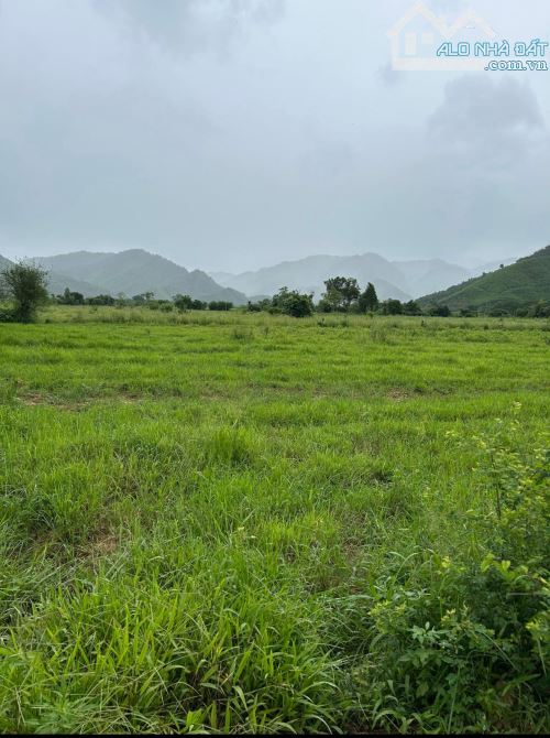 chào bán lô đất trồng cây lâu năm viêu suối diện tích 2700  đường 7m5 - 2