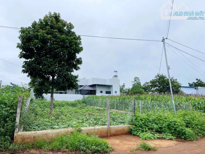 BÁN ĐẤT 2 MẶT TIỀN 9.7x25m CUOR ĐĂNG - CƯMGAR 1Tỷ300 triệu - 2