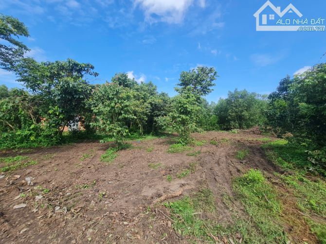 Đất nghỉ dưỡng 1000m² góc 2 mặt tiền có suối gần hồ Núi Le xã Xuân Lộc 26 m MT bê tông - 2