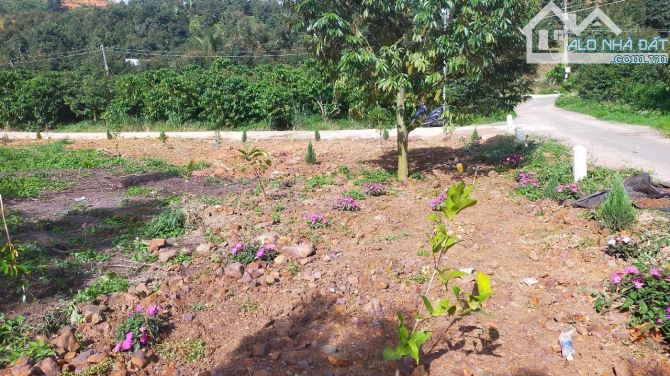 BÁN ĐẤT NGHỈ DƯỠNG GIÁ TỐT QUY HOẠCH THỔ CƯ CHỈ 750TRIỆU - 2