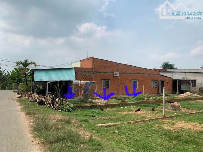NGỘP BANK, CHỦ BÁN ĐẤT 125M2, 730TR, SÔNG LU, HOÀ PHÚ, SHR - 2