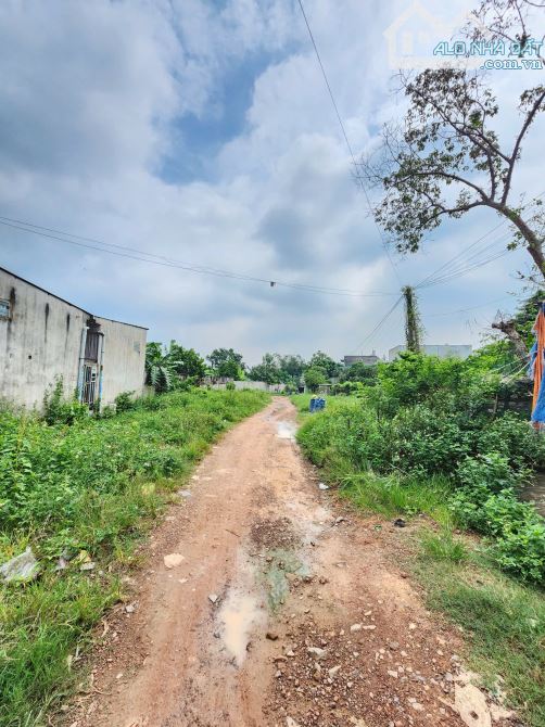 đất 300m2 3ty3 TL tặng dãy trọ ngang 10m MT đường Ống Nước gần Chợ Phú An - 2