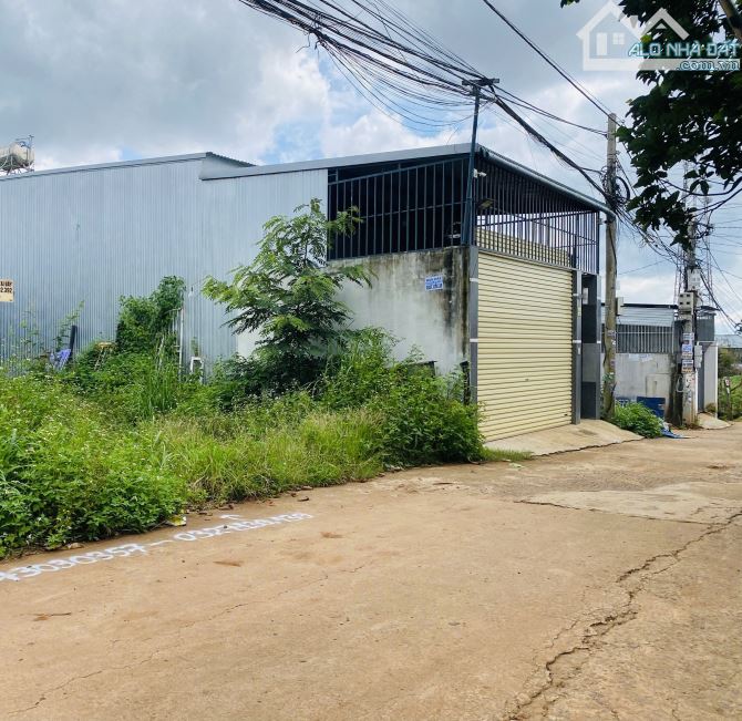 ĐẤT HẺM 246  Y MOAN - P. TÂN LỢI 5*23 tc60 bán 2ty650 - 2