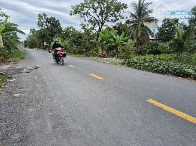 Bán nền đất 5x78m, (394m2)giá 1 tỷ 650 triệu , xã hựu thạnh, Huyện Đức Hòa, Long An. - 2