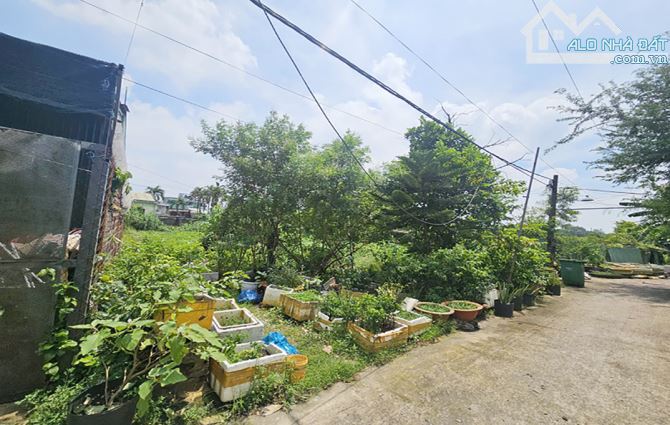 Cần cho thuê đất Mặt Tiền  đường số 9 Bình Trưng Đông Q2 DT:15x35=538m2 giá rẻ 25tr/tháng - 2