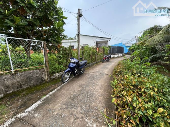 ✅ Bán 251 Thổ + 372m2 lúa hẽm đường Mai Bá Hương thuộc Phường 5 , TP Tân An , Long An. - 2