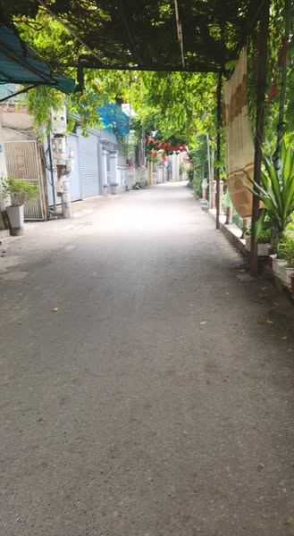 🔥 50M² ĐẤT ĐẸP – MẶT TIỀN RỘNG – NGÕ THÔNG, Ô TÔ ĐỖ CỬA – VIEW HỒ – GIÁ ĐẦU TƯ 🔥 - 2