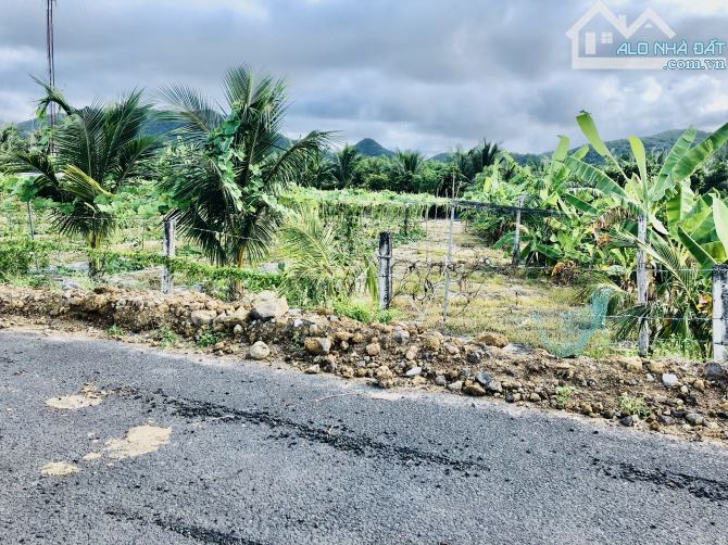 1000M2- NGANG 21M MẶT TIỀN NHỰA- VIEW NÚI CỰC ĐẸP- RA BIỂN PHƯỚC HẢI 5p-SỔ SẴN- GIÁ 3ty980 - 2