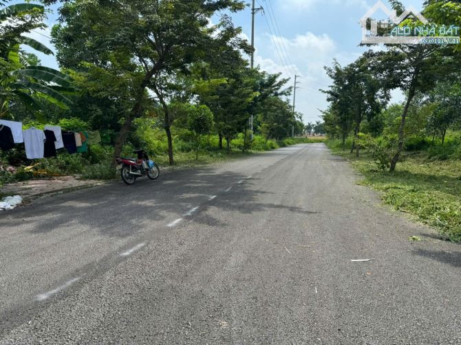 Bán lô đất 99m2, hướng Đông Bắc tại khu Đồng Xuân, Kim Long, Tam Dương, Vĩnh Phúc - 2