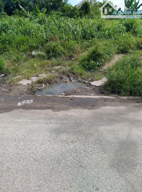 Bán Lô Đất KDC Quang Vinh, DT 5m x 20m, Cạnh Đường Nguyễn Du, Phường Quang Vinh. - 2