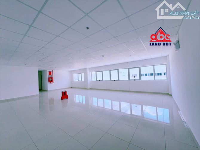 XT467 Cho thuê xưởng  2Ha xây dựng mới 100% KCN Nhơn Trạch - ĐN - 2