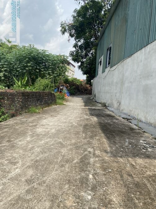💥Bán 100m đất Thắng Hữu Minh Trí Sóc Sơn ( Kim Anh Hà Nội) - 2