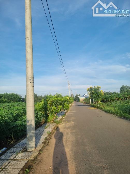 Bán 151m2 (ngang 5 dài 30m) thổ cư KP4,Hắc Dịch, Phú Mỹ - 2