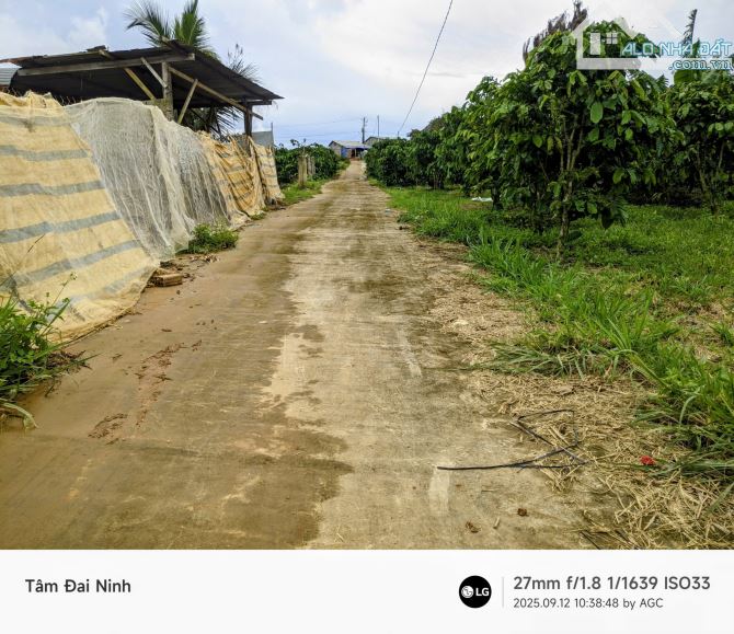 Cần bán 7.500m2 đất View Hồ Đại Ninh,xã Tà Hine,Lâm Đồng.chỉ 290 triệu/1.000m2 - 2