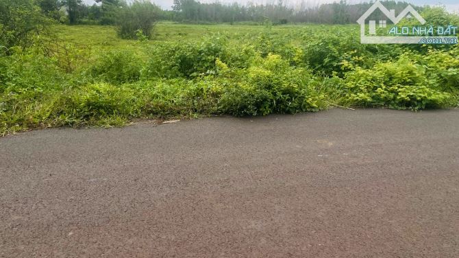 Bán Đất Long Tân lay Sát Nhập Vào Xã Đất Đỏ-Thành Phố Hồ Chí Minh Dt :1022mv Ngang 58 Mét - 3