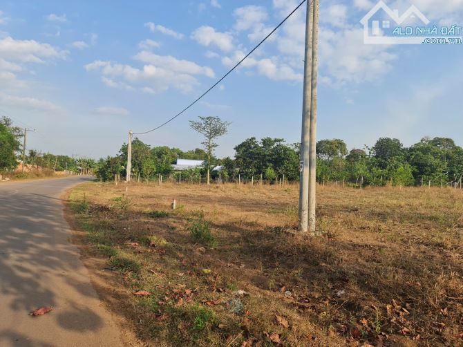 Bán 1,4 mẫu đất mặt tiền đường nhựa Xuân Trường – Trảng Táo phù hợp làm kho xưởng giá 8 tỷ - 3