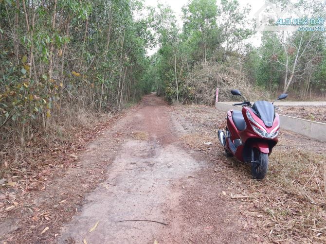 Chủ cần bán đất phủ hồng gần 25C xã Vĩnh Thanh, Nhơn Trạch, 2 mặt tiền, đường rộng giá tốt - 3