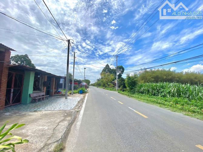 CHỦ GỬI BÁN – ĐẤT MẶT TIỀN ĐƯỜNG ĐỖ ĐĂNG TUYỂN, XÃ AN NHƠN TÂY, CỦ CHI – GIÁ CHỈ 380 - 3