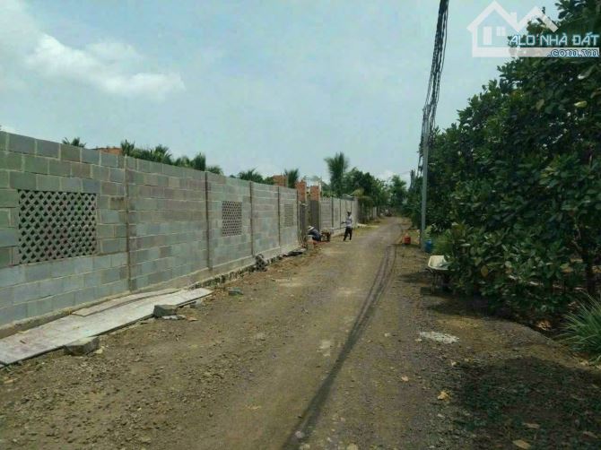24x40m gần hồ Trị An,Thanh Bình,Trảng Bom 1.4 tỷ - 3