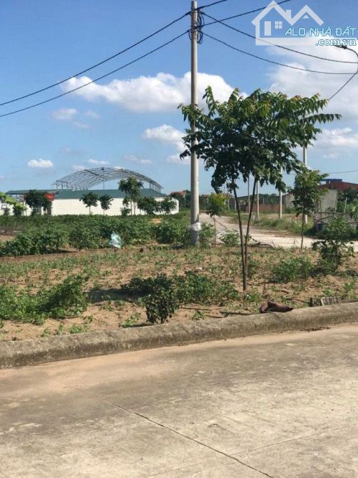 🏡 BÁN ĐẤT 90 m2 ĐẤU GIÁ ĐÌNH TỔ – THUẬN THÀNH, BẮC NINH - LH  🏡 - 3