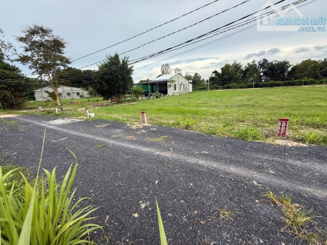 đất siêu đẹp, cách kcn Phước đông 4km. Sổ hồng riêng. 320tr - 3