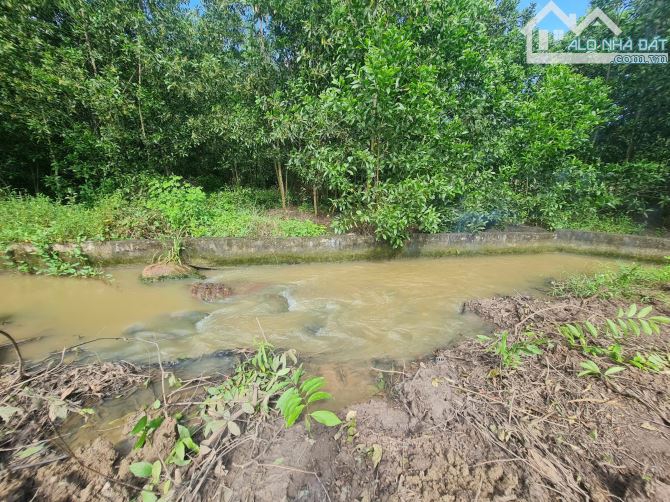 Đất nghỉ dưỡng 1000m² góc 2 mặt tiền có suối gần hồ Núi Le xã Xuân Lộc 26 m MT bê tông - 3