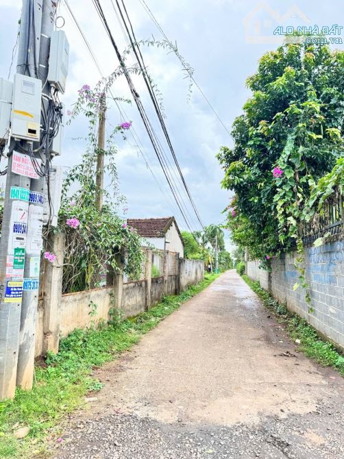 ĐẤT MẶT TIỀN KA12 CÁCH VÀNH ĐAI QL14 - 26 CHỈ 20m ĐỐI DIỆN UBND PHƯỜNG TÂN AN - 3