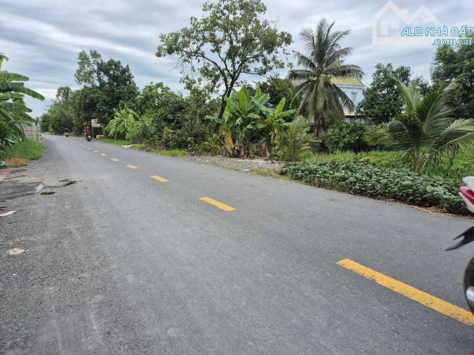 Bán nền đất 5x78m, (394m2)giá 1 tỷ 650 triệu , xã hựu thạnh, Huyện Đức Hòa, Long An. - 3