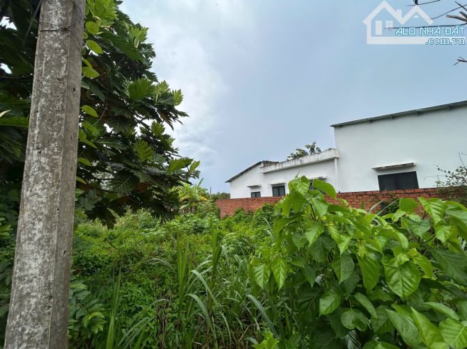 ✅ Bán 251 Thổ + 372m2 lúa hẽm đường Mai Bá Hương thuộc Phường 5 , TP Tân An , Long An. - 3