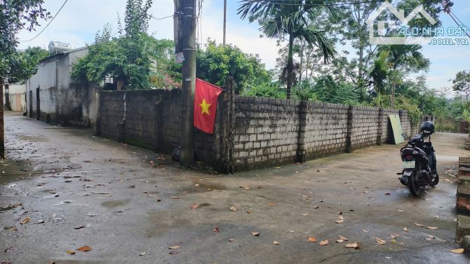 Lô góc 704m ô tô thông Hoàng Văn Thụ xã Trần Phú Chỉ nhỉnh 10tr/m2 - 3