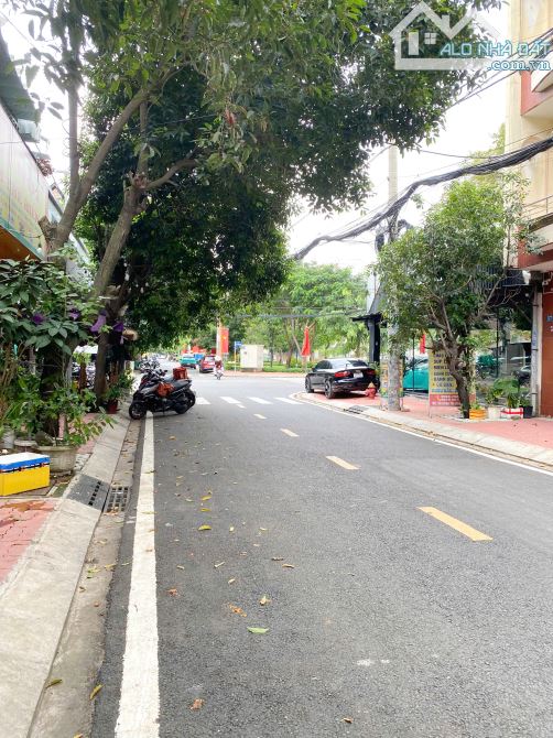 Bán lô đất kế công viên, KDC Cao Lỗ P4 Q8 - 3