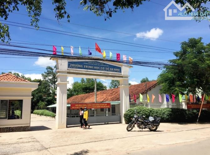 Chủ cần bán gấp lô đất tái định cư xã An Ninh Tây, Đức Hòa 5mx20m, thổ cư 100%, đường nhựa - 3