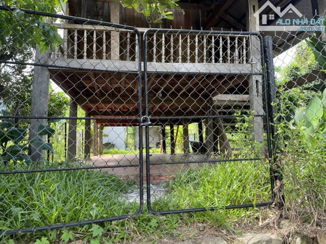 🔥🌿 NAM YÊN – HÒA BẮC | 400M² ĐẤT VƯỜN ĐẸP GIỮA ĐẠI NGÀN | 4.2 TỶ🌿🔥 - 3