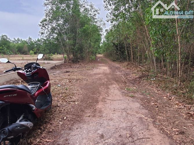 Chủ cần bán đất phủ hồng gần 25C xã Vĩnh Thanh, Nhơn Trạch, 2 mặt tiền, đường rộng giá tốt - 4