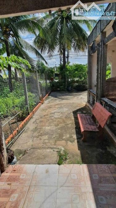 Ông Bà bán căn nhà cổ để chia gia tài, SHR, 299,3m2, Phước Thạnh, Giá 850 Triệu. - 4