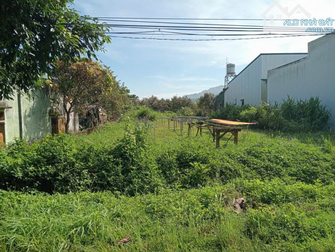 10x39m 100m thổ cư mặt tiền Bảo Lộc. gần trường 1,2 - 4