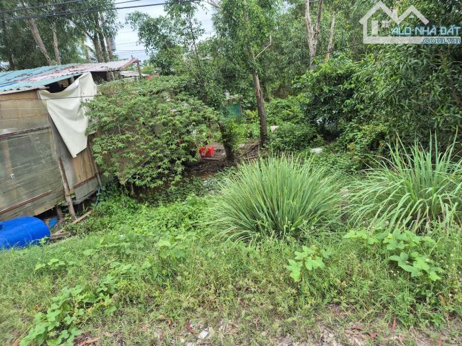 Bán nền đất 5x78m, (394m2)giá 1 tỷ 650 triệu , xã hựu thạnh, Huyện Đức Hòa, Long An. - 4