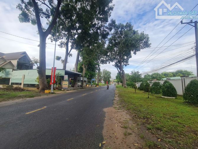 Bán đất mặt tiền đường Huỳnh Văn Nghệ TT Gia Ray huyện Xuân Lộc vị trí đẹp giá tốt - 4